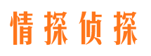 南湖市私家侦探